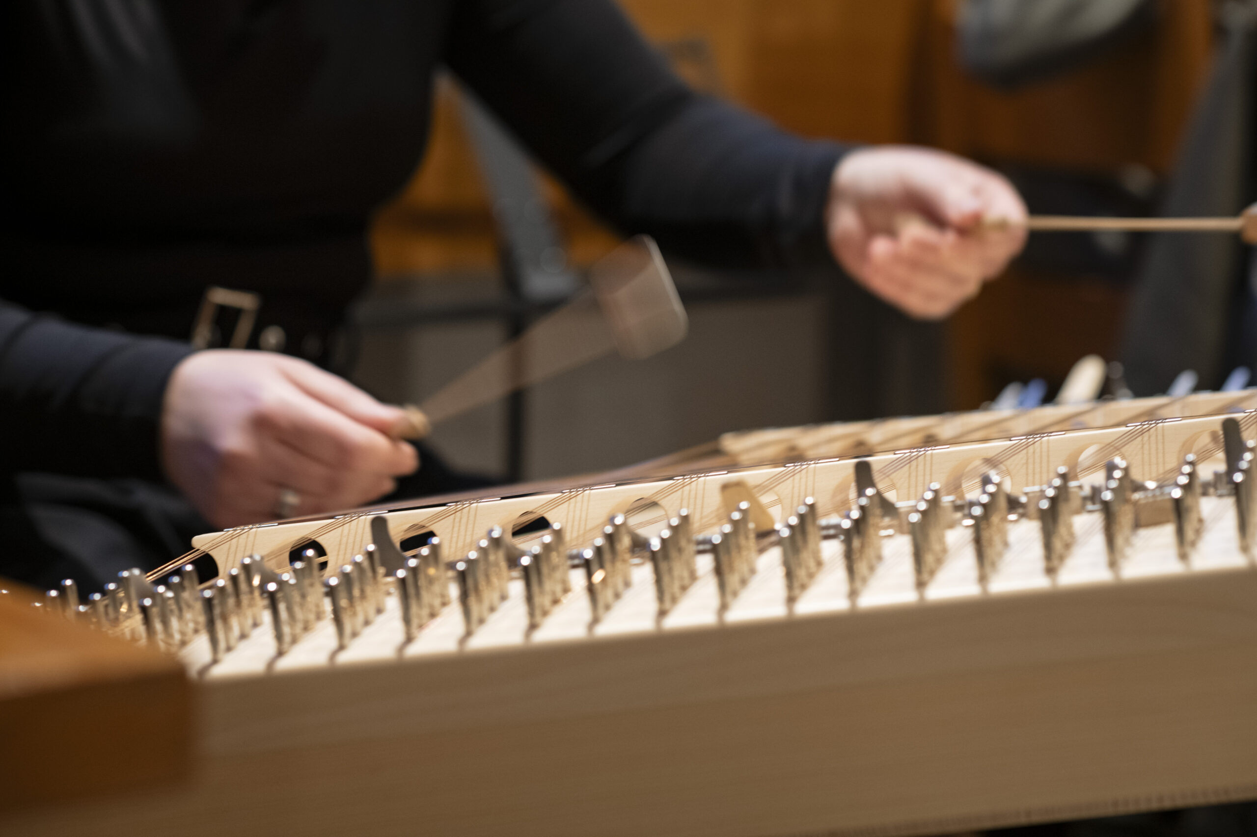 20241215_Weihnachts-Märt Visp_68